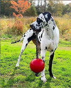 Jolly Pets Romp-n-Roll Rope and Ball Dog Toy, 8 Inches/Large, Red (608 RD)