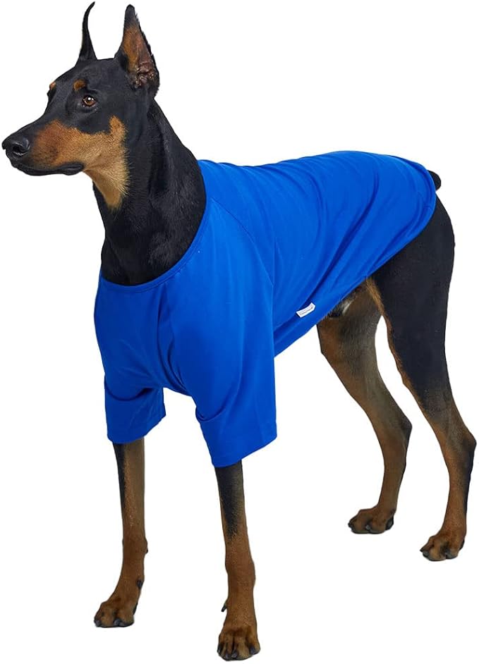 Dog Shirt for Small Dogs Plain T-Shirts Soft Breathable Dog Cotton Shirt pet Clothes (4X-Large, Blue)