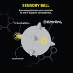 Playology Dog Toys | Puppy Toy Plush Sensory Ball for Dogs and Puppies for Dogs and Puppies | Medium Beef Scented Toy - Easy to Clean and Made from Non Toxic Materials