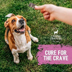 Canine Cravers Single Ingredient Dog Treats – Pork Thin Tenders - Human Grade Air Dried Hypoallergenic Pet Food – Grain, Gluten, and Soy Free – 100% All Natural - 5.3 oz