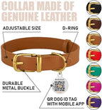 BRONZEDOG Leather Dog Collar with QR ID Tag Basic Pet Collars for Small Mini Dogs Cats Puppies (7-9 Inch (Pack of 1), Light Brown & Gold Buckle)