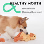 5 Pack Tough Dog Toys Stuffed Squeaky Dog Toys Assortment Value Bundle Dog Squeaky Toys Assortment Puppy Pet Mutt Dog Toy Dog Squeak Toy for Medium Large Dogs