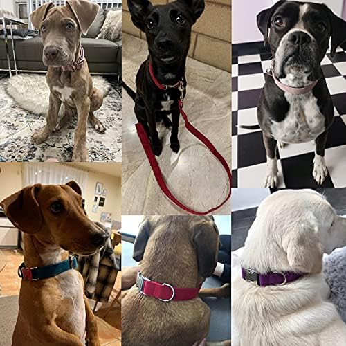 Dog Collar Custom Personalized Engraved Name and Phone Number for Puppy Small Medium Large Pets (XL, Purple)