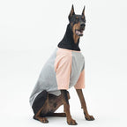 Dog Shirt for Small and Large Dogs Raglan Cotton T-Shirts Soft Breathable Dog Shirts pet Clothes Gray Series (2X-Large, Gray/Peach)