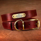 Didog Genuine Leather Dog Collars with Engraved Nameplate, Personalized Soft Leather Dog Collar with Custom ID Tag, Brown/Green/Red for Small Dogs (M,Red)