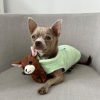 JACKO & CO - Fleece Vest Dog Sweater with Leash Ring - Soft, Warm & Lightweight Pullover Coat for Small & Medium Dogs, Puppies & Cats - Cozy Fall/Winter/Spring Pet Jacket (Mint Green, X-Small 3lbs)