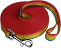 Dog/Puppy Obedience Recall Training Agility Lead - 15ft 20ft 30ft 40ft 50ft Training Leash - Great for Play, Camping, or Backyard (Rainbow, 40 Feet)