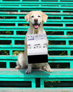 Mutt Mitt® Pinkies 2-Ply 100 Pink & Black Dog Waste Bags on 1 dog waste bag station header - 300% Thicker than mini roll dog waste bags - no more warm & yuck feeling