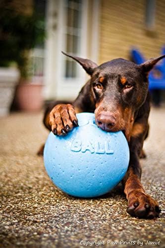 Jolly Pets Bounce-n-Play Dog Toy Ball, 8 Inches/Large, Blueberry, (Model: 2508 BB)