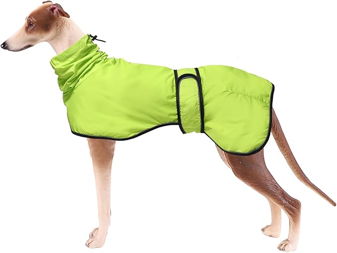 Dog Raincoat with Reflective Bar, Rain/Water Resistant, Adjustable Vest - Dog Raincoats for Greyhounds, Lurchers and Whippets - Light Green - XXXL