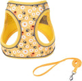 Step in Dog Harness and Leash Set, Flower Adjustable Easy Walk Puppy Harnesses, Soft Mesh Pet Vest Harness Small Size Adjustable No Pull Dog Harness for Small Dogs and Cats(Bee, XS)