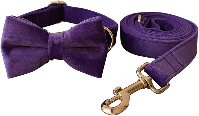Dog Collar Custom Personalized Engraved Name and Phone Number for Puppy Small Medium Large Pets (L, Purple)