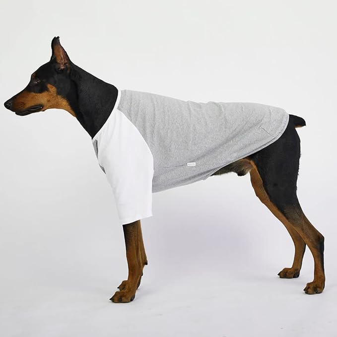Dog Shirt for Small and Large Dogs Raglan Cotton T-Shirts Soft Breathable Dog Shirts pet Clothes Gray Series (X-Large, Gray/White)