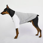 Dog Shirt for Small and Large Dogs Raglan Cotton T-Shirts Soft Breathable Dog Shirts pet Clothes Gray Series (X-Large, Gray/White)
