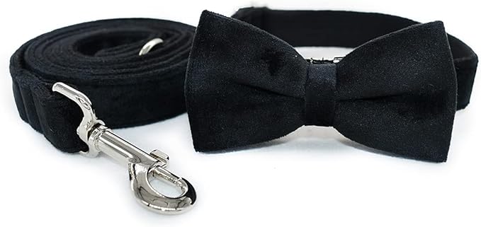 Dog Collar Custom Personalized Engraved Name and Phone Number for Puppy Small Medium Large Pets (M, Black)