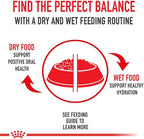 Royal Canin Size Health Nutrition Large Adult Dry Dog Food, 40 lb Bag