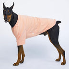 Dog Shirt for Small Dogs Plain T-Shirts Soft Breathable Dog Cotton Shirt pet Clothes (X-Large, Peach)