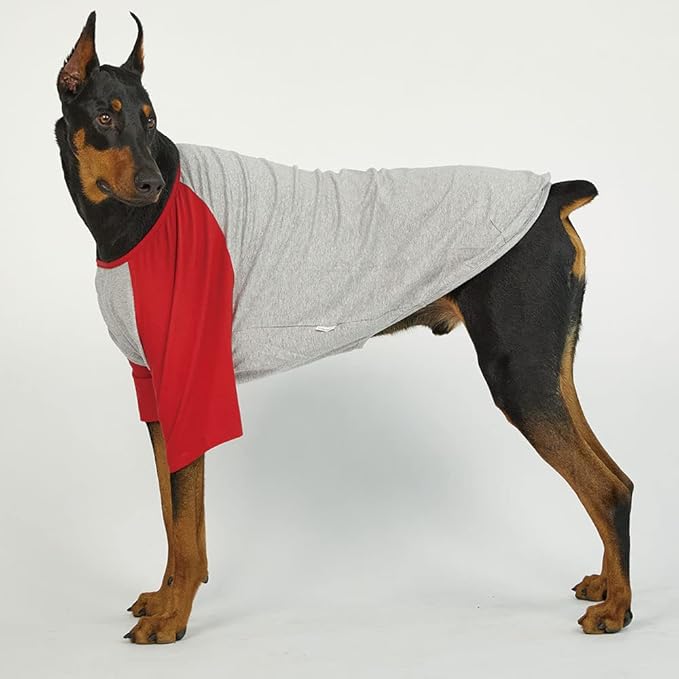 Dog Shirt for Small and Large Dogs Raglan Cotton T-Shirts Soft Breathable Dog Shirts pet Clothes Gray Series (4X-Large, Gray/Red)