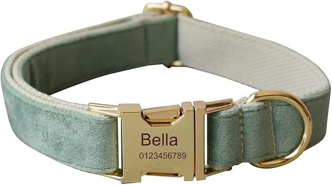 Dog Collar Custom Personalized Engraved Name and Phone Number for Puppy Small Medium Large Pets (M, Fruit Green)