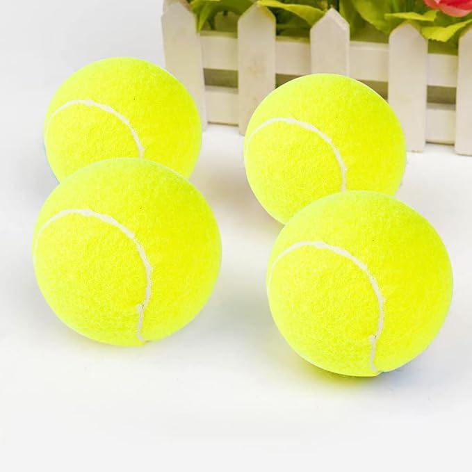 PTLSY Easy Catch Dog Tennis Balls - 16 Pack, Standard Size (2.5 inch) for Medium & Small Dogs