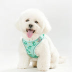 Step in Dog Harness and Leash Set, Flower Adjustable Easy Walk Puppy Harnesses, Soft Mesh No Pull Pet Vest Harness for Small Dogs and Cats(Green, XXS)