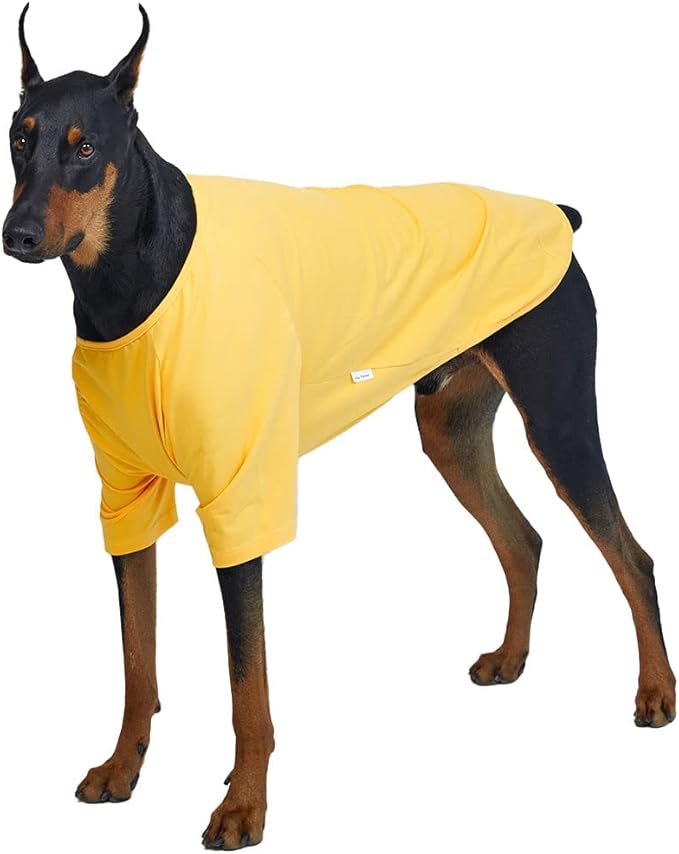 Dog Shirt for Small Dogs Plain T-Shirts Soft Breathable Dog Cotton Shirt pet Clothes (5X-Large, Yellow)