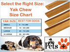 Pets Plus Himalayan Yak Chews for Dogs – 6 Inch, Medium Size, 8oz, 3-Pack – Long-Lasting Natural Dog Chews, Grain-Free, Odorless, High Protein Treats