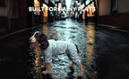 Dog Raincoat, Waterproof Coat, Light Weight & Weather Resistant Shell, Full Coverage Rain Jacket with Legs, Grey, Including Storage Bag, for Medium Breed (XX-Large)