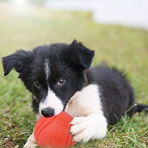 Hard Rubber Balls for Dogs,Dog's Solid Rubber Bouncy Ball Bite Resistant and Indestructible Dog Training Ball,Dog Balls for Aggressive Chewers