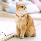 Personalized Reflective Cat Collar with Bell and Breakaway Buckle - Engraved Name and Phone Number