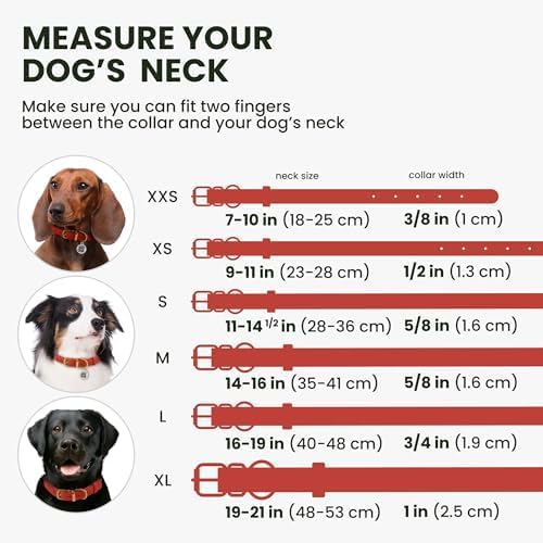 BronzeDog Rolled Leather Dog Collar with QR ID Tag, Adjustable Soft Round Collars for Small Medium Large Dogs Puppy (7" - 10" Neck Size, Classic Red)