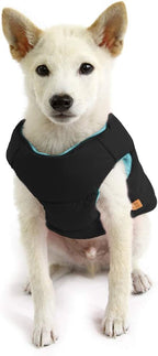 Gooby Padded Vest Dog Jacket - Solid Black, X-Large - Warm Zip Up Vest Fleece Jacket with Dual D Ring Leash Water Resistant for Small to Medium Dogs