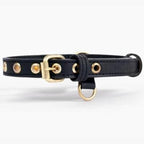 Two Tails Pet Company Cactus Vegan Leather Dog Collar, Adjustable Pet Collar with Gold Hardware and D Rings for Leash and ID Tag for Dogs and Puppies, Easy to Clean & Eco Friendly, Black, Size Medium