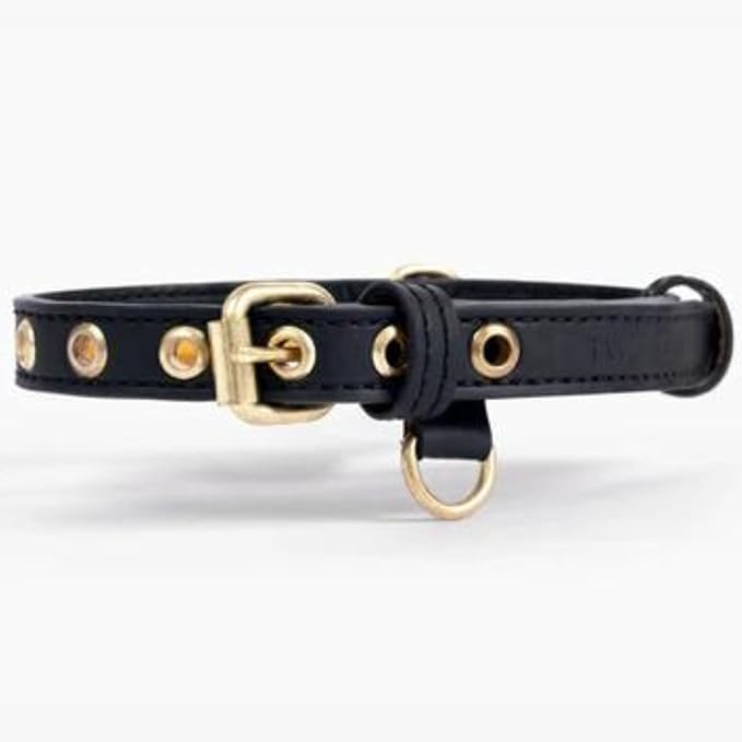 Two Tails Pet Company Cactus Vegan Leather Dog Collar, Adjustable Pet Collar with Gold Hardware and D Rings for Leash and ID Tag for Dogs and Puppies, Easy to Clean & Eco Friendly, Black, Size Small