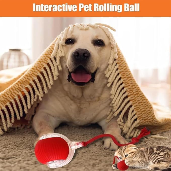 2025 New Electric Dog Ball Toy,360° Smart Automatic Interactive Rolling Ball, Smart Pet Toy,Interactive Dog Toys,Gift for Kids（Blue）