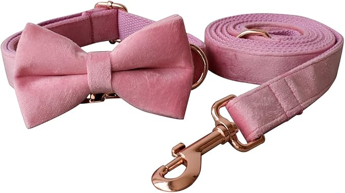 Dog Collar Custom Personalized Engraved Name and Phone Number for Puppy Small Medium Large Pets (L, Pink)