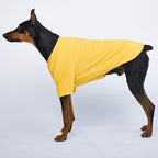 Dog Shirt for Small Dogs Plain T-Shirts Soft Breathable Dog Cotton Shirt pet Clothes (5X-Large, Yellow)
