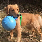 Jolly Pets Tug-n-Toss Heavy Duty Dog Toy Ball with Handle, 8 Inches/Large, Blueberry