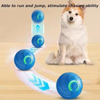 2PCS Duarspin Dog Ball, Shaky Balls Toy for Dogs, Interactive Dog BallToys, Fun Automatic MovingBall, Vibrating Ball Pet Bouncing BallToy, Duar Spin Dogs Balls That Moves on Its Own (Blue+Orange)