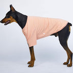 Dog Shirt for Small Dogs Plain T-Shirts Soft Breathable Dog Cotton Shirt pet Clothes (2X-Large, Peach)