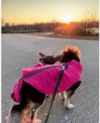 Gooby - Zip Up Fleece Vest, Fleece Jacket Sweater with Zipper Closure and Leash Ring, Pink, X-Large