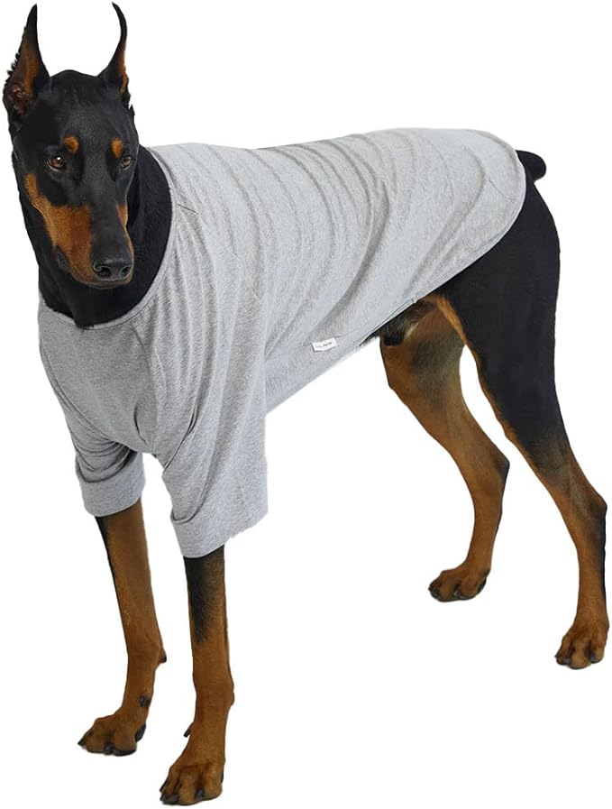 Dog Shirt for Small Dogs Plain T-Shirts Soft Breathable Dog Cotton Shirt pet Clothes (2X-Large, Gray)
