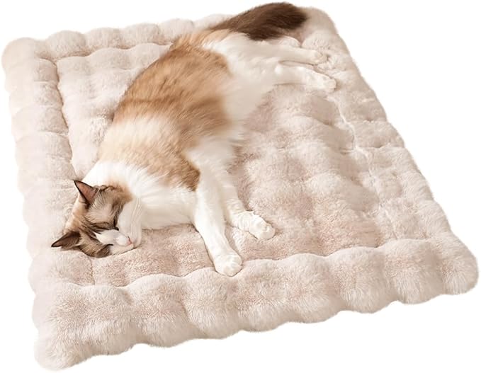Plush Dog Bed Mat Faux Fur Cat Beds for Indoor Cats with Anti-Slip Bottom Kitten Self Warming Bed for Couch/Floor/Dog & Puppy Friendly 27 x 20 Inch Large White