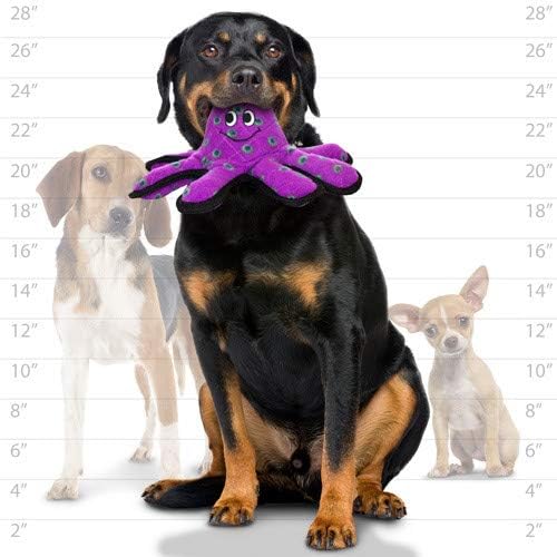 TUFFY -World's Tuffest Soft Dog Toy -Ocean Creature Octopus -Squeakers - Multiple Layers. Made Durable, Strong & Tough. Interactive Play (Tug, Toss & Fetch). Machine Washable & Floats. (Combo Pack)
