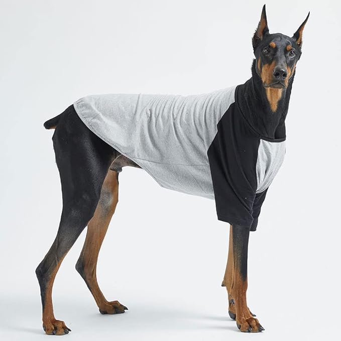 Dog Shirt for Small and Large Dogs Raglan Cotton T-Shirts Soft Breathable Dog Shirts pet Clothes Gray Series (2X-Large, Gray/Black)