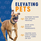 Finley's Peanut Butter & Banana Dog Biscuit Treats, All Natural, Limited Ingredient Dog Treats, 12 Ounce (Pack of 1)