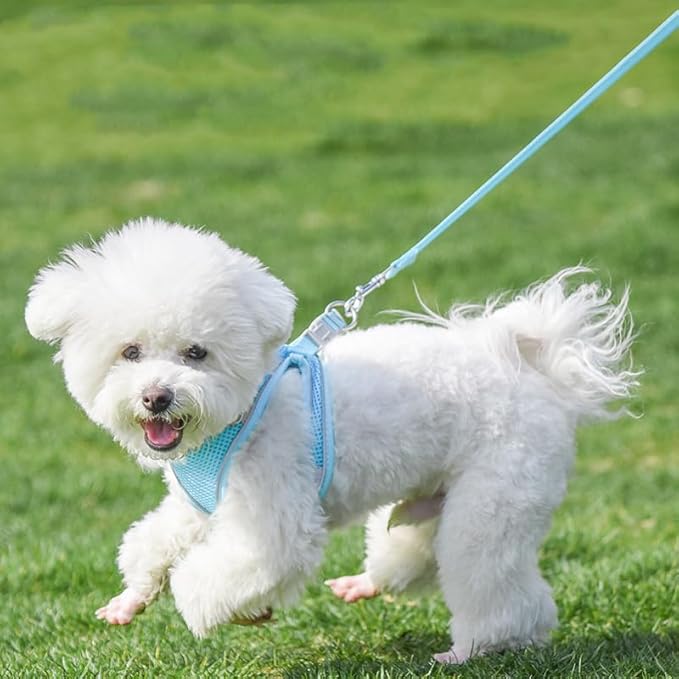 AIITLE Small Harness for Puppy with A Leash - Summer Dog Vest Harness with Super Breathable Mesh, Reflective No-Pull Pet Harness for Outdoor Walking, Camping for Small Dogs, Cats Pure Blue XXS