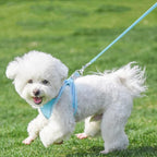 AIITLE No Pull Dog Harness and Leash Set, Step in Adjustable Dog Harness with Padded Vest for All Weather, Dog Leash with Soft Padded Handle, Easy to Put on Small and Medium Dogs Pure Blue S