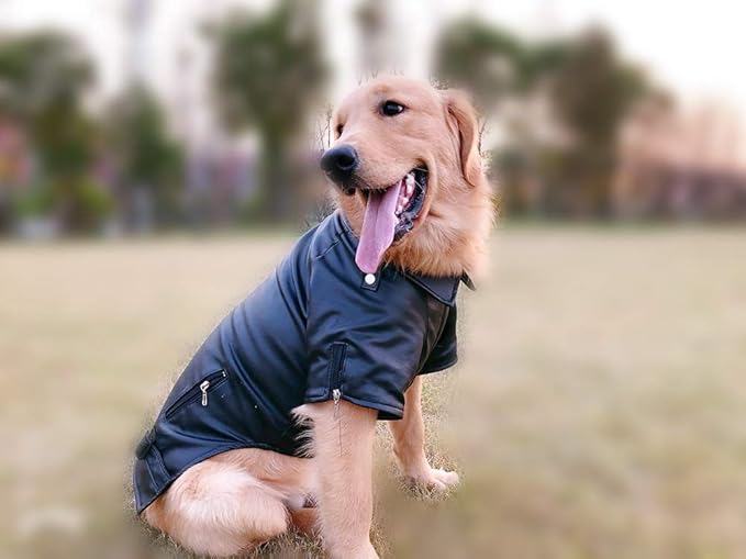 Lovelonglong Cool Dog Leather Jacket, Warm Coats Dogs Windproof Cold Weather Coats for Large Medium Small Dogs,Miniature PoodleSchnauzers Clothing Black XL