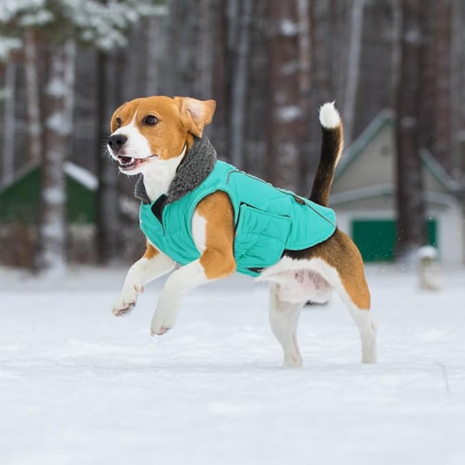 EMUST Dog Jackets for Winter, Cold Weather Coats for Dogs, Soft Winter Jackets for Medium Large Dogs, Turquoise, L